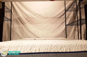 Image of the Novosbed (Soft) mattress motion isolation test.