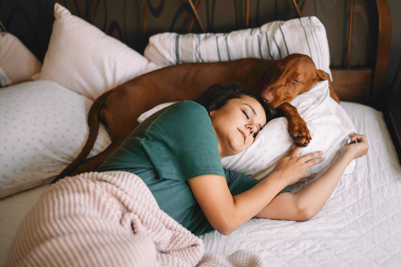 MRArticlePeopleAndPets MattressReviewscom Image of a woman and her pet dog lying in bed